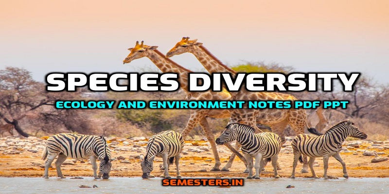 species diversity - semesters.in